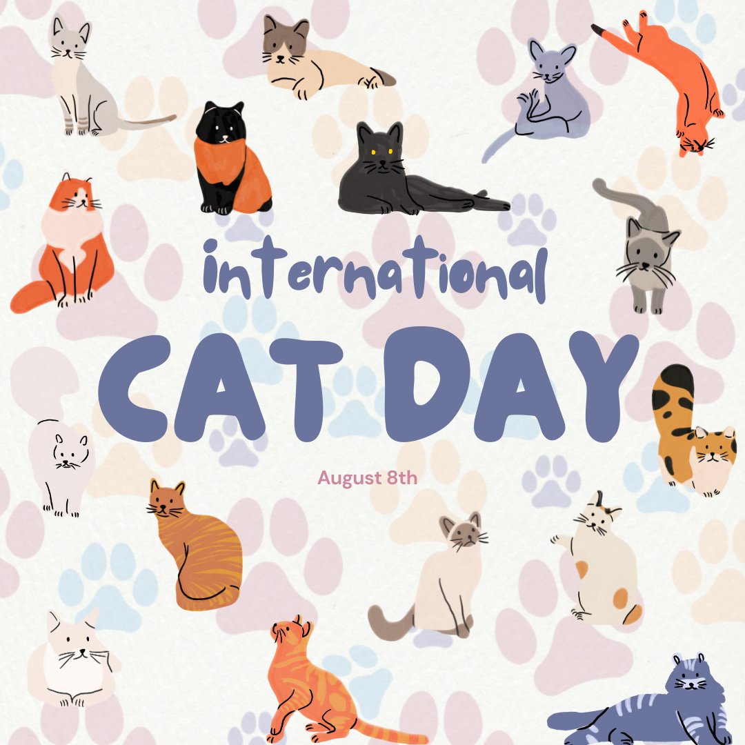 🐾 Purr-fectly celebrating our feline friends today! Whether they’re sassy, sweet, or just plain silly, cats make every day better. 🐱 Do you have cats? I have a black cat named Kyoshi and a white cat named Lotus myself! 🖤🤍 Happy International Cat Day! #InternationalCatDay