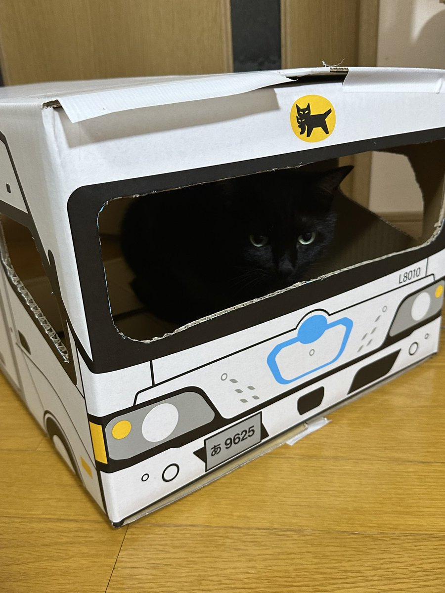 Kさんお届け物です〜🚛

#ねこ　#くろねこ　#クロネコヤマト　#宅急便