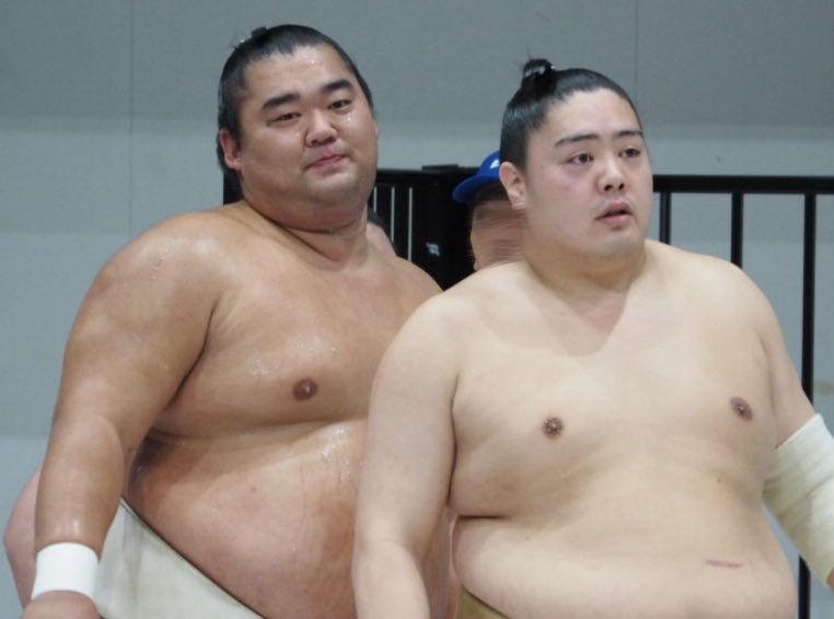 461_5han's tweet photo. ｼｮｰﾅﾝの可愛さが爆発してた
#sumo #湘南乃海 #一山本 #武将山 https://t.co/QXBwAaOkSy