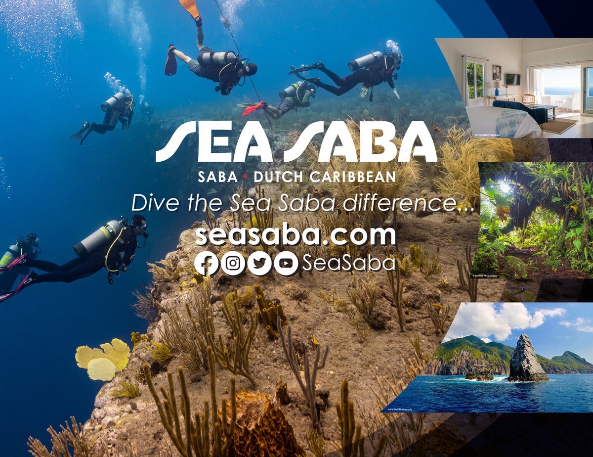 Levestone tweet media