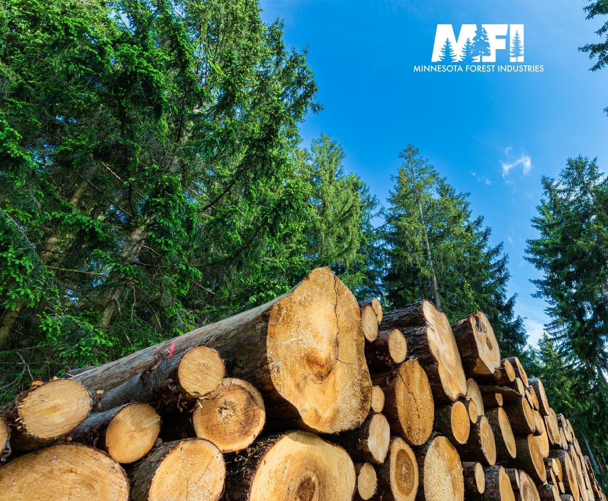 More  than 90 percent of Minnesota’s annual timber harvest is conducted by  the more than 400 logging businesses that participate in the Minnesota  Logger Education Program, helping ensure our forests are expertly  managed.