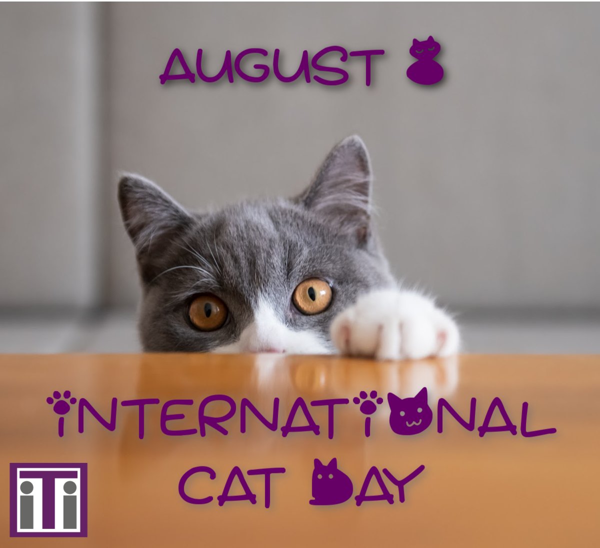 Did you know that cats have their own unique ways of communicating? From purrs to meows, our feline friends have a language all their own. 

Share a picture of your cat and tell us how they communicate with you!

#InternationalCatDay #LanguageServices  #iTiTranslates