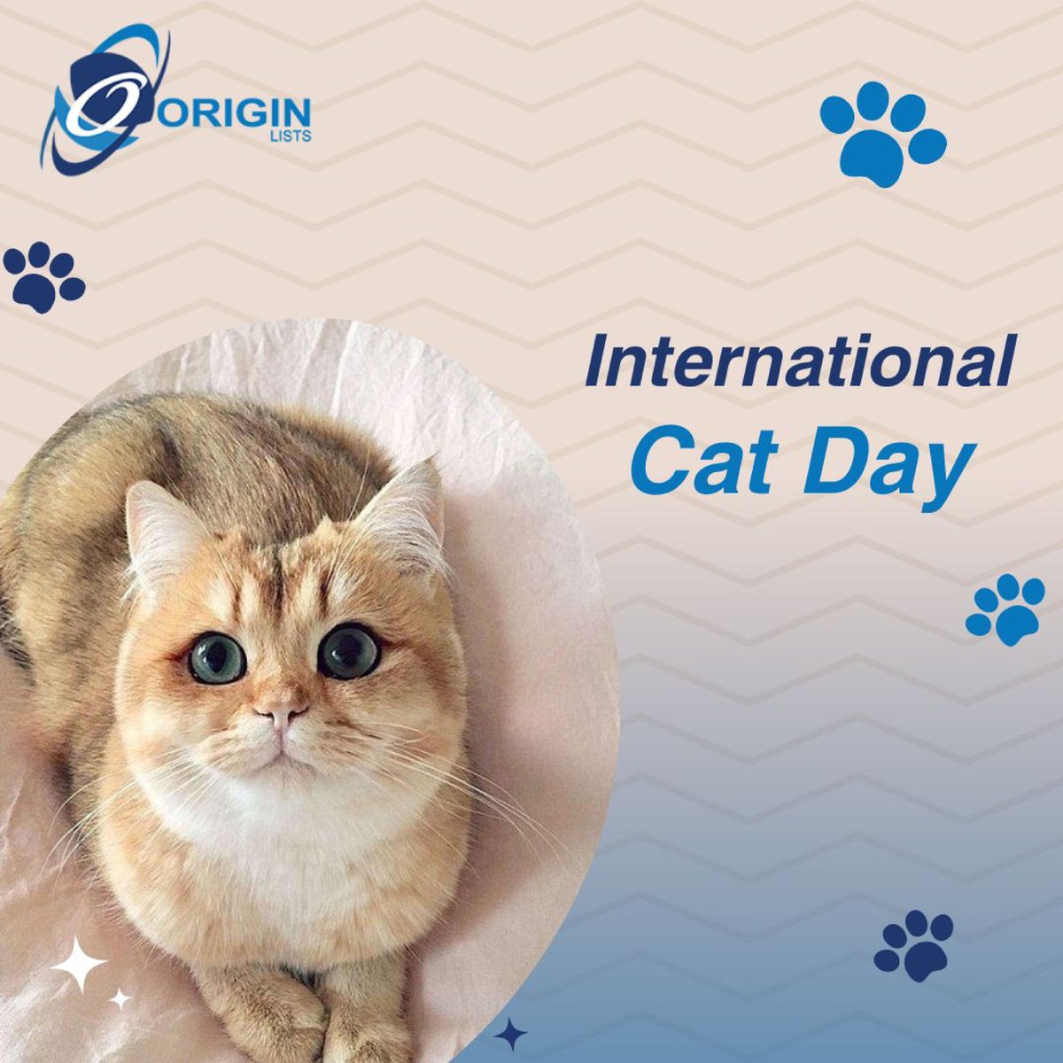 OriginLists's tweet image. International Cat Day 2024
#internationalcatday #internationalcatsday #internationalcatday #internationalcatday🐱 
#catsday #worldcatsday #worldcatday