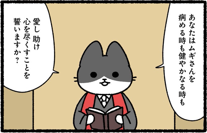 #世界猫の日 