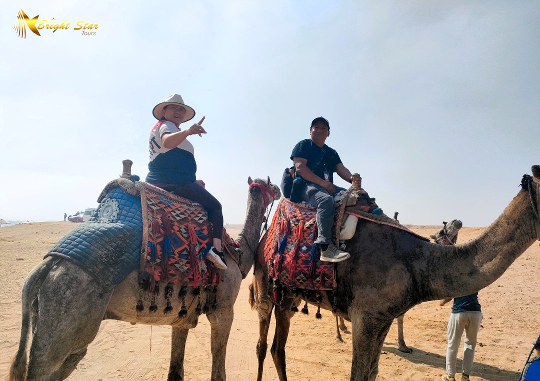 Bright Star Tours tweet media