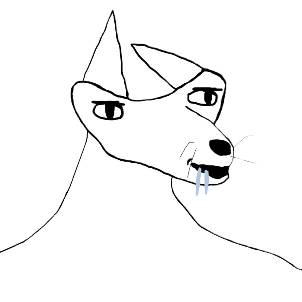 Xanders tweet media