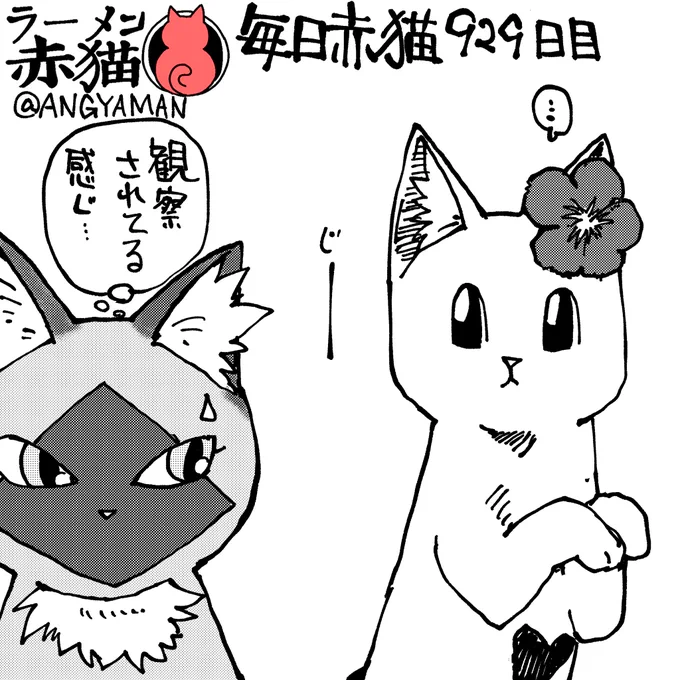 新猫4
#ラーメン赤猫 #ジャンププラス
111杯目 https://t.co/U0qrtMRSuz 