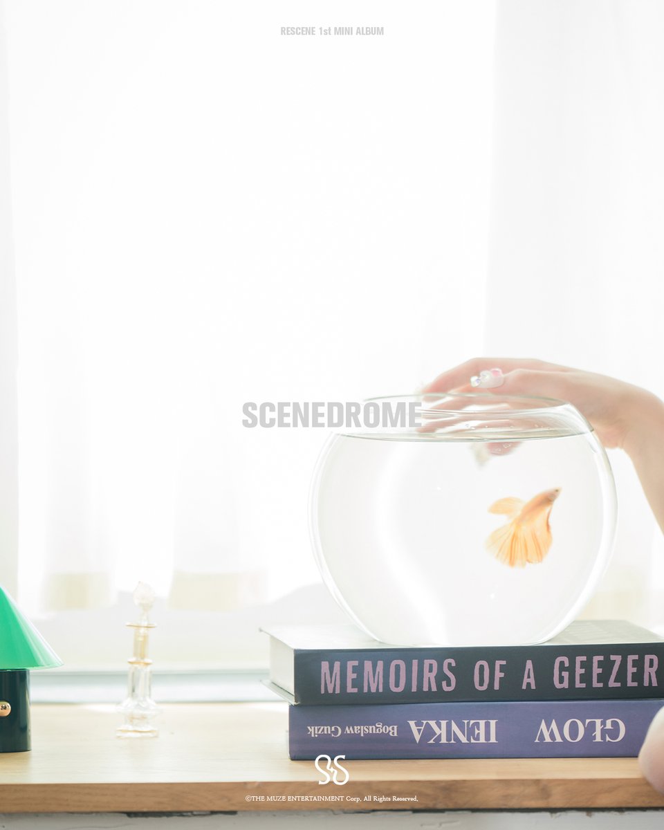 GUdZYPzb0AAR4P8?format=jpg&name=medium