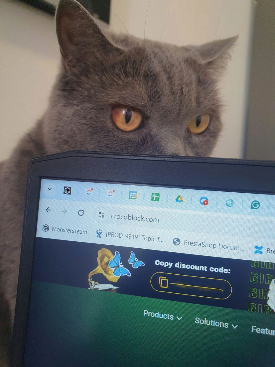 Nikki_Panska's tweet photo. @automattic Keep working hooman, I'm watching you! https://t.co/XywJnf93cT