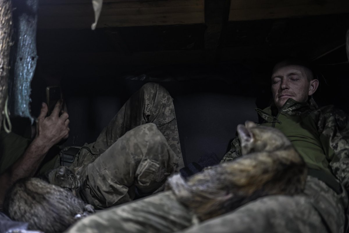 Marian Kushnir tweet media