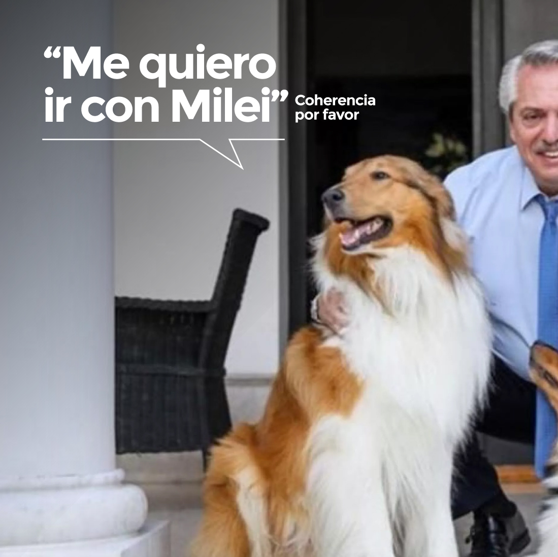 CoherenciaFavor's tweet image. 