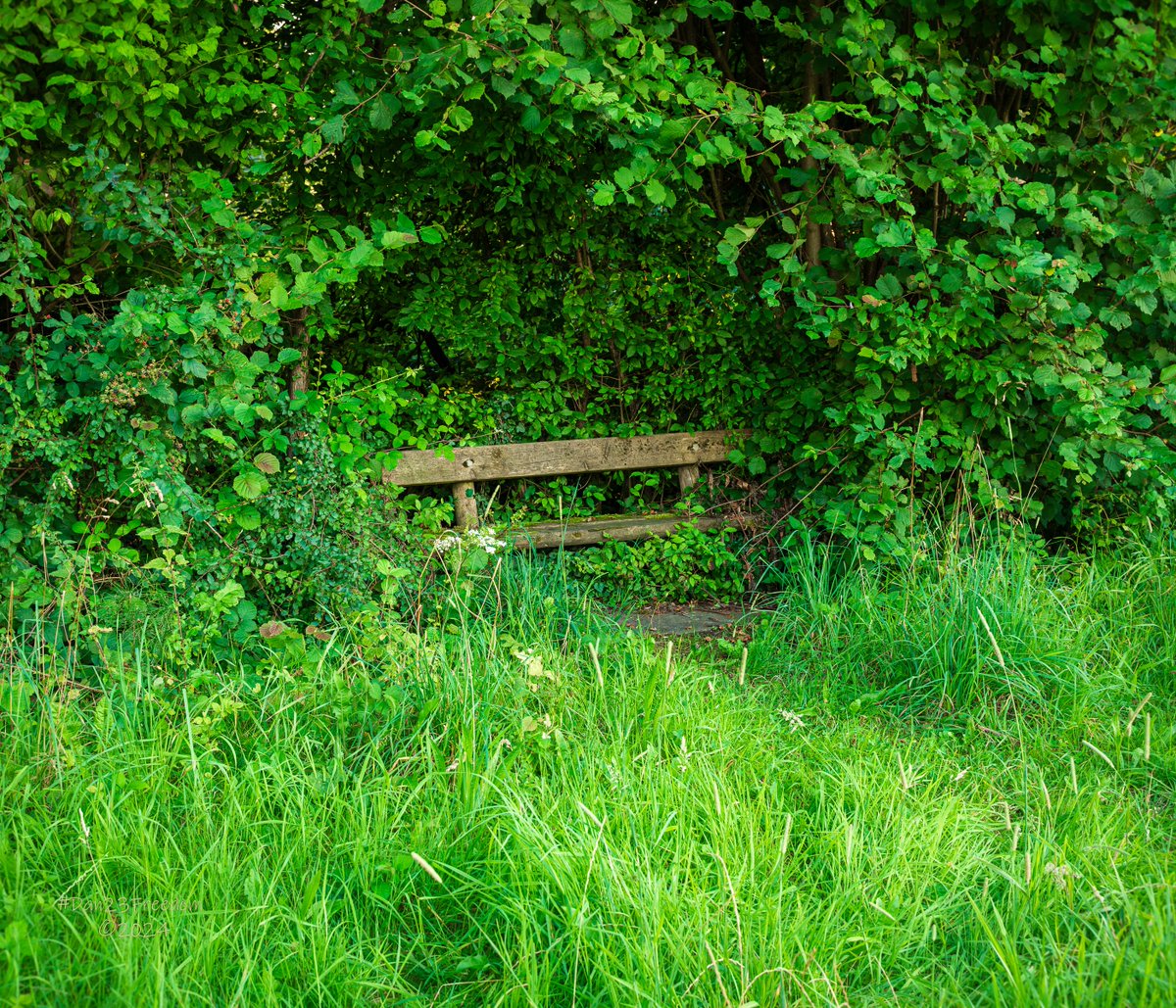 dan23freedom's tweet photo. Woodland Lull 📷 1/50 sec at f/5,6, ISO 640, 35 mm Standard Zoom #dan23freedom
#Germany #NordrheinWestfalen #WoodlandLull #ForestRetreat #PeacefulPlace #NatureLover #GreenOasis #WoodlandWander #SunlightDappled #TranquilMoments #BenchRest #NatureTherapy #EscapeTheCity #SummerVibes https://t.co/2mywUJvwgJ
