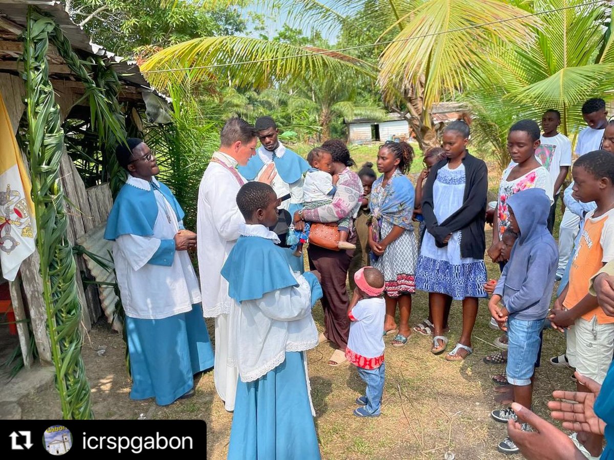 ICKSP's tweet photo. Baptisms in the remote village of Bissobilam in Gabon, Africa. 

Bringing souls to Christ in every corner of the globe! 🌍

Deo gratias! Welcome home, beautiful souls. 🙏🏼

#ICKSP in Gabon 🇬🇦

#Catholic https://t.co/H28CkIVwdS