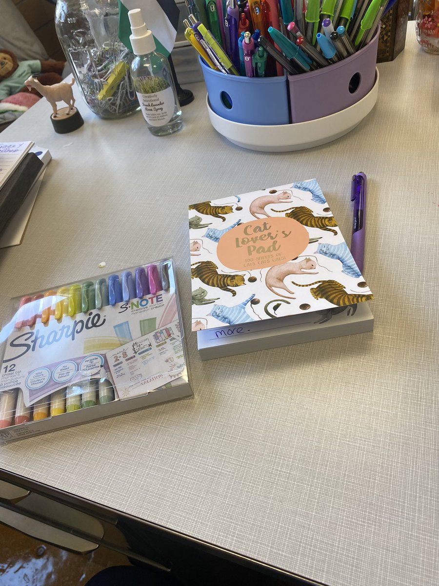 MrsSaid17's tweet photo. What are cat stationary, Sharpie s note markers and ink joy pens for ? Writing welcome notes to new and returning students. #u46FirstDayReady https://t.co/MckFTt2rVM