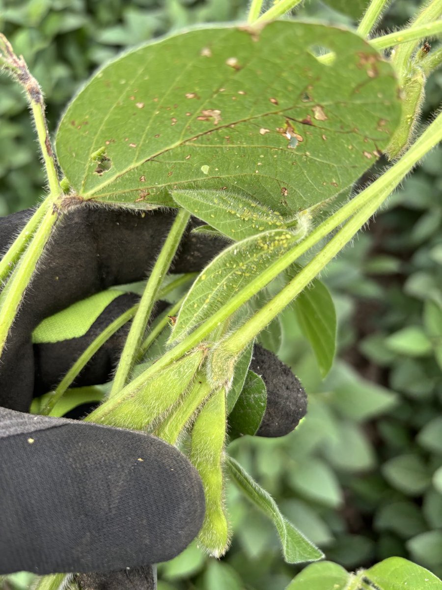 AgronNateL tweet picture