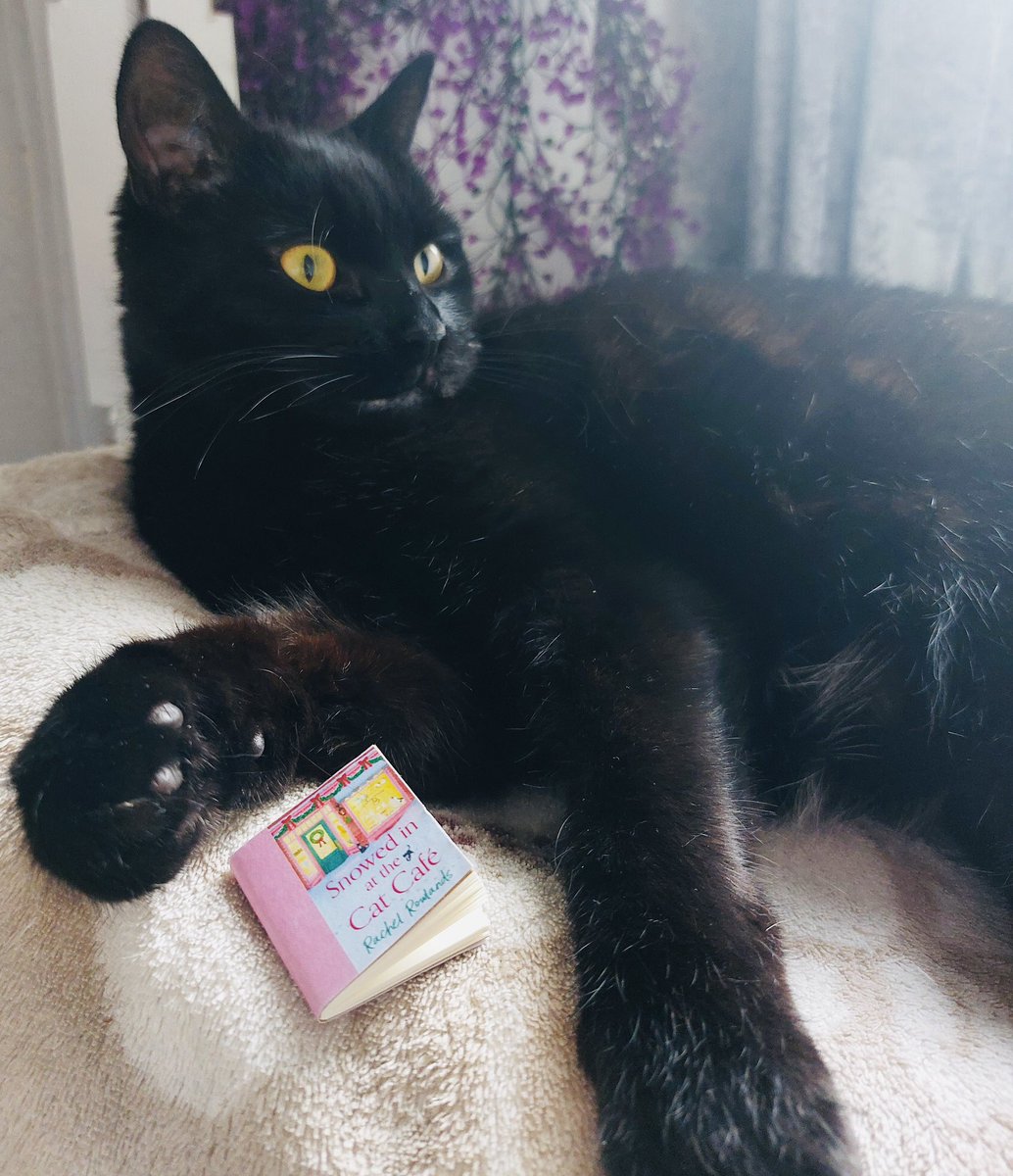 Cara Chimirri (@carachimirri) on Twitter photo Happy International Cat Day to all who celebrate 🐈 🐈⬛ 🐈 Here are some of <a href="/HodderFiction/">Hodder Fiction</a>’s very literary feline friends enjoying their tiny copies of Snowed In at the Cat Cafe 🐾📖 Out in human-size next month from @racheljrowlands! Happy International Cat Day to all who celebrate 🐈 🐈⬛ 🐈 Here are some of <a href="/HodderFiction/">Hodder Fiction</a>’s very literary feline friends enjoying their tiny copies of Snowed In at the Cat Cafe 🐾📖 Out in human-size next month from @racheljrowlands!