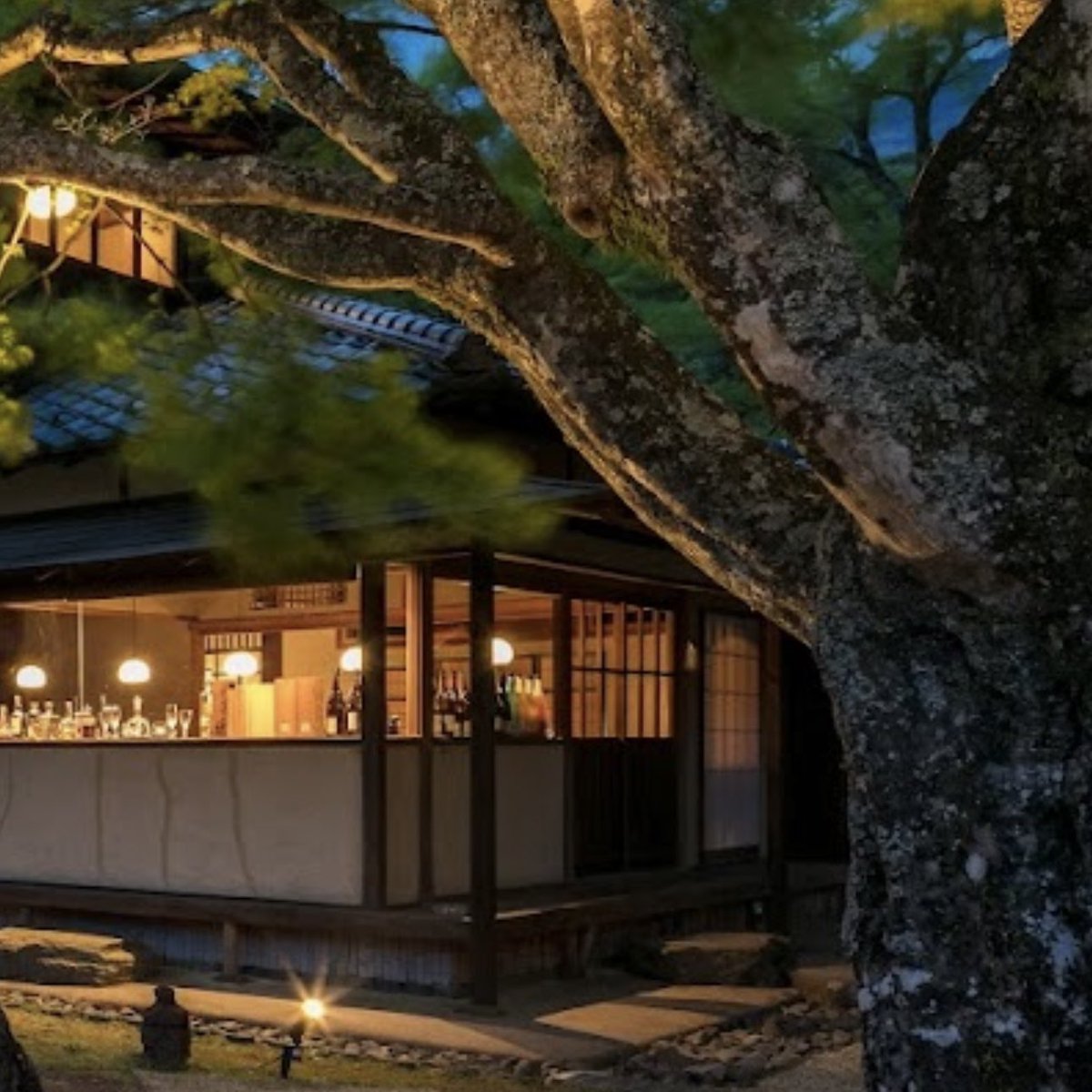 ヨン ヨンジュン Instagram 240808 聖地 #yawnzzn 🌳 箱根・翠松園 神奈川県