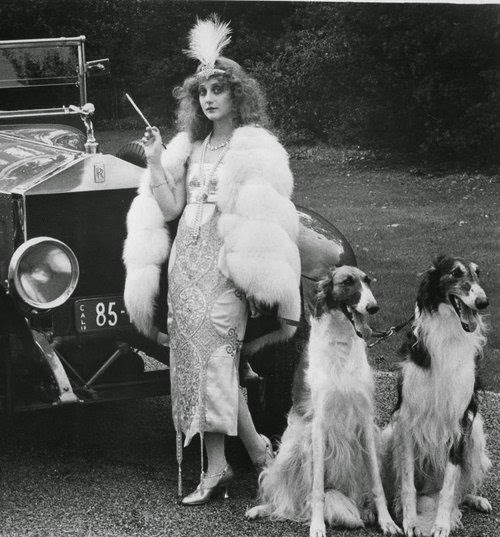 borzbot's tweet image. 