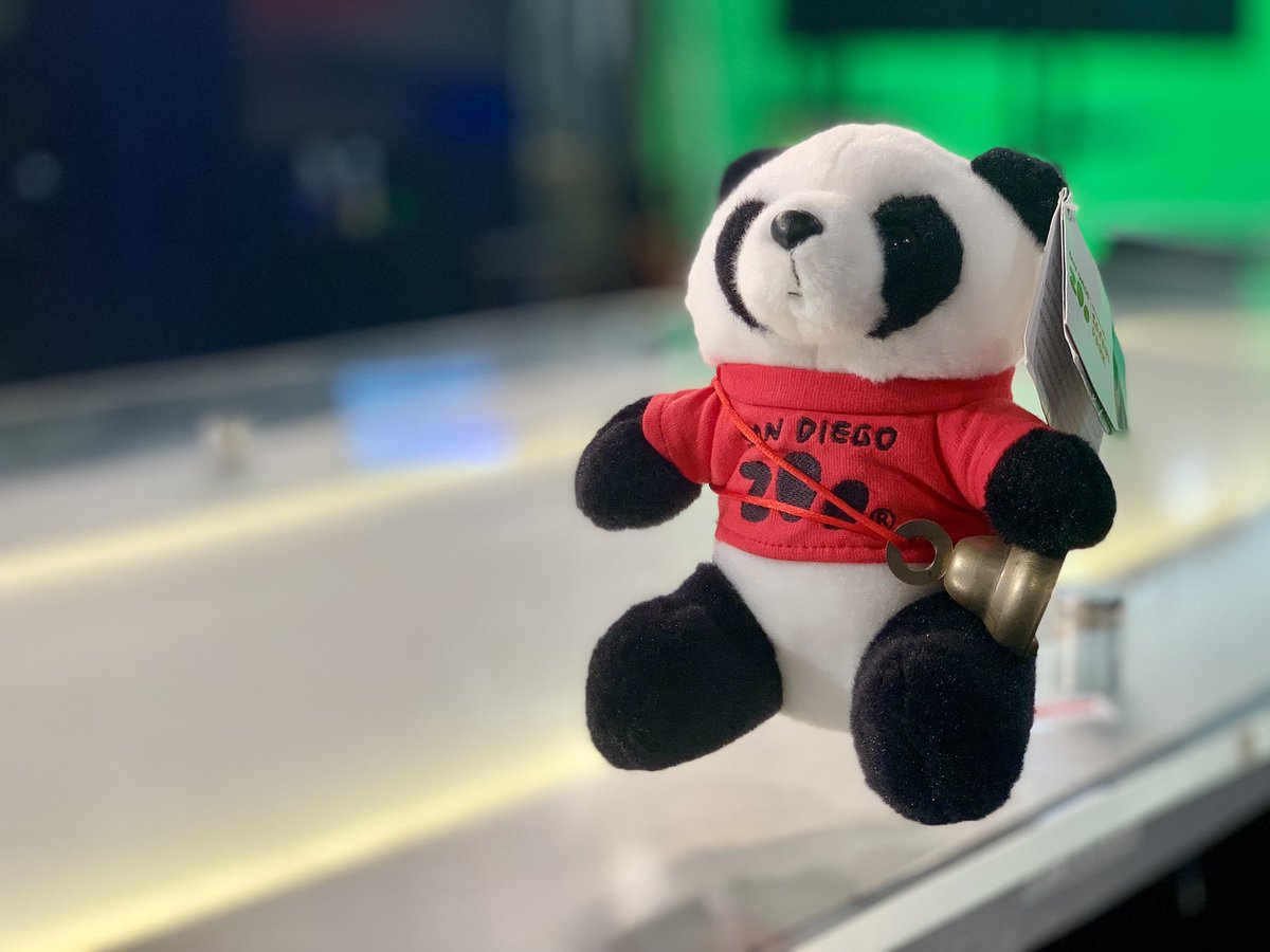 10NewsAarons's tweet image. My co-anchor this morning… #PanDiego #PandaWatch @sandiegozoo
