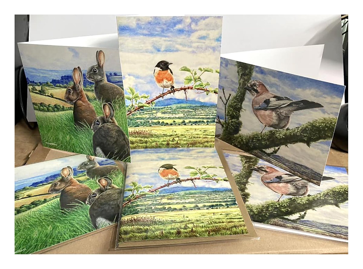 Redcliffe Imaging tweet media