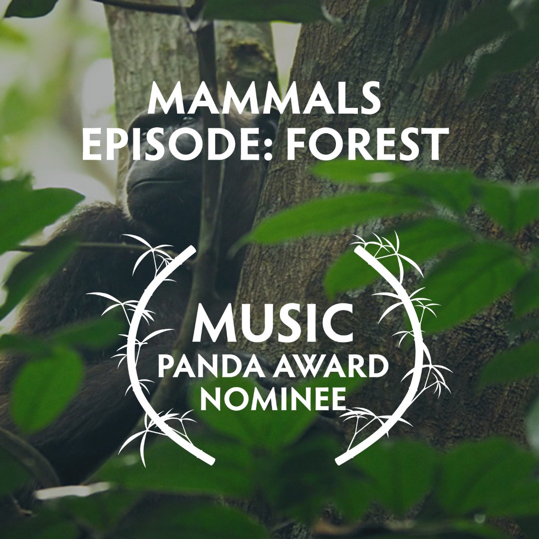 Wildscreen tweet media