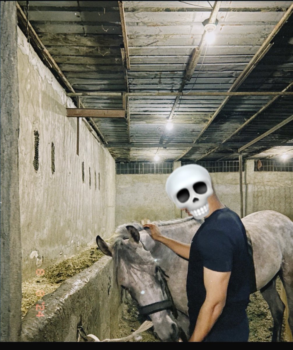 baselwageih's tweet photo. 💀⚖️ https://t.co/qrAnVbhRwb