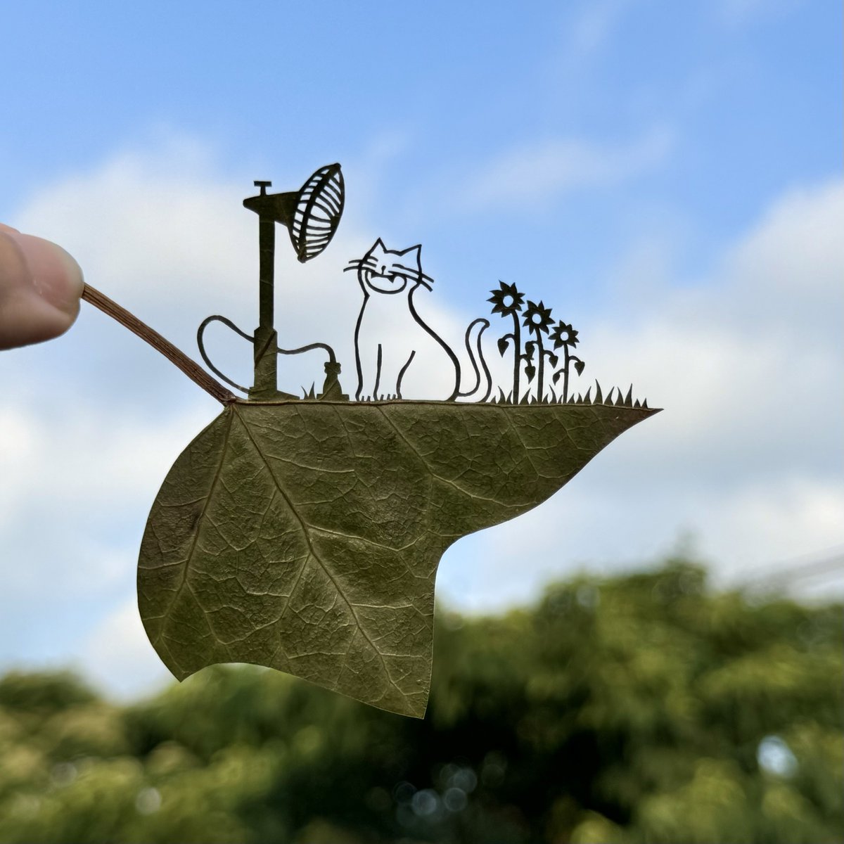 ｢にゃあ"〜〜〜〜〜｣

今日8月8日は…
#世界猫の日ฅ