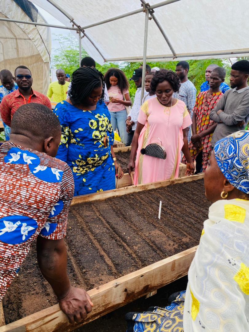 WorldVeg (West and Central Africa) tweet media