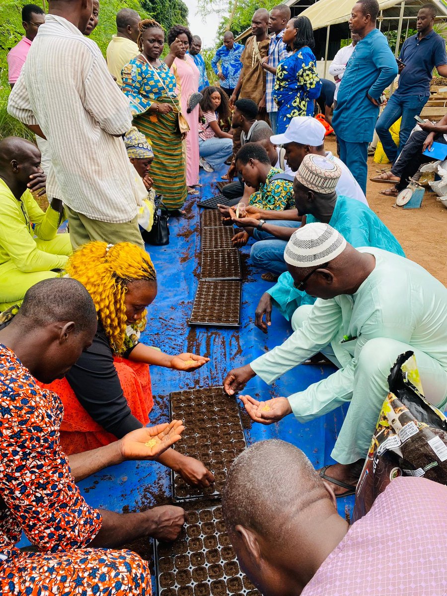 WorldVeg (West and Central Africa) tweet media