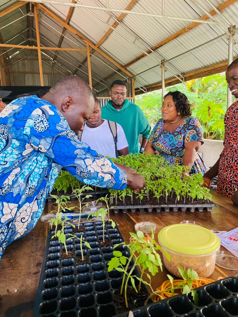 WorldVeg (West and Central Africa) tweet media