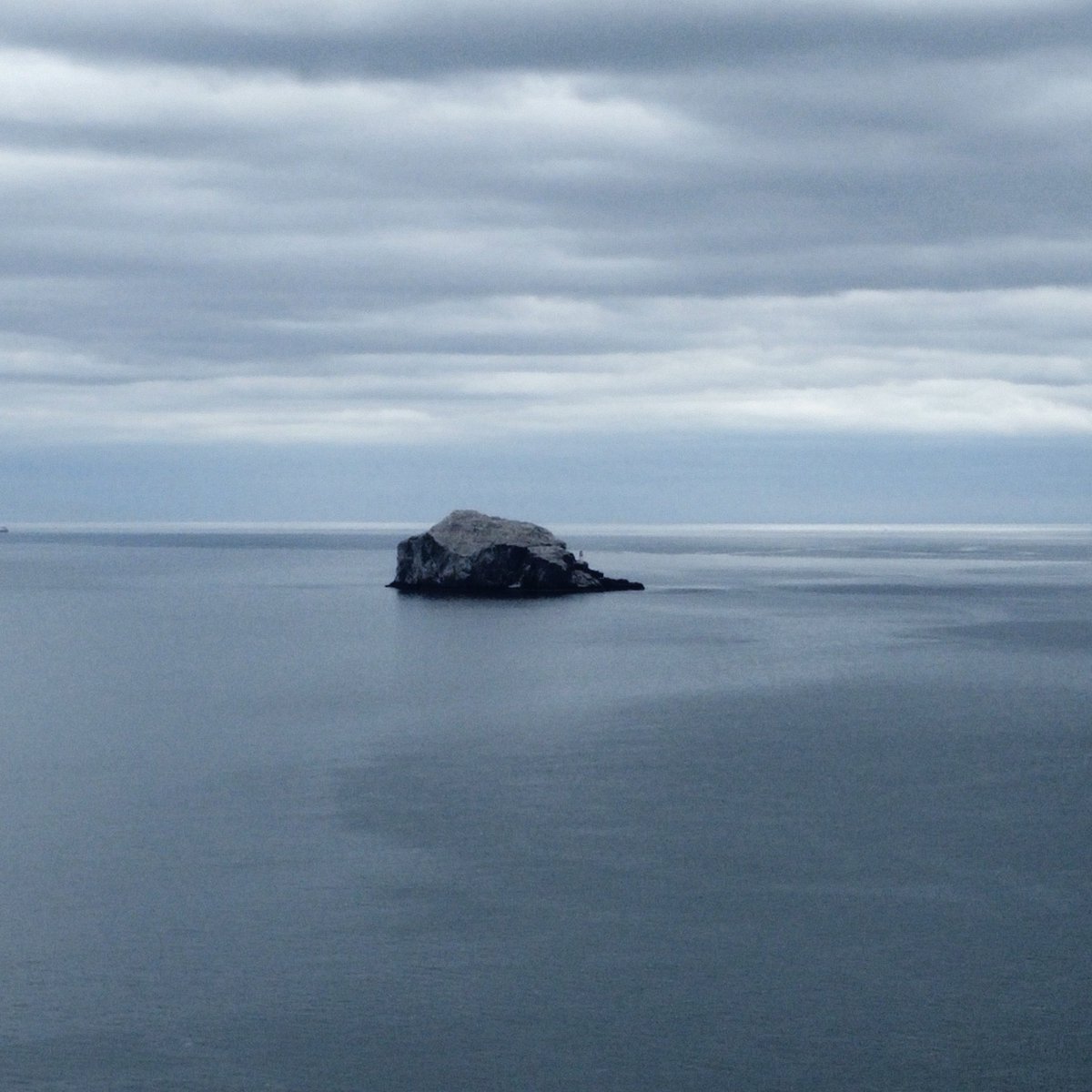 Brendan Semple tweet media