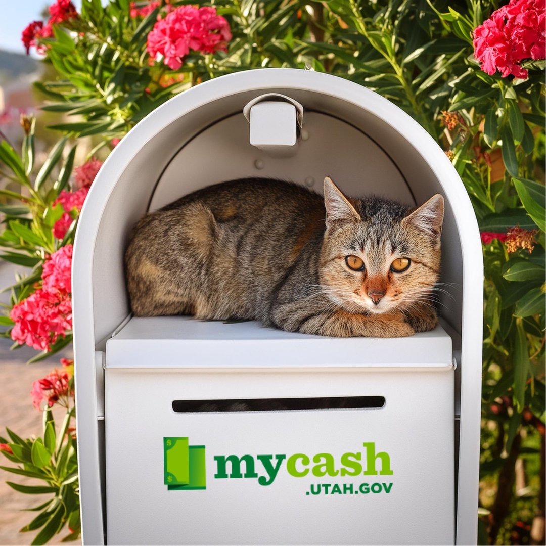 Happy International Cat Day! 🐱 Share a photo of your furry friends in the comments.