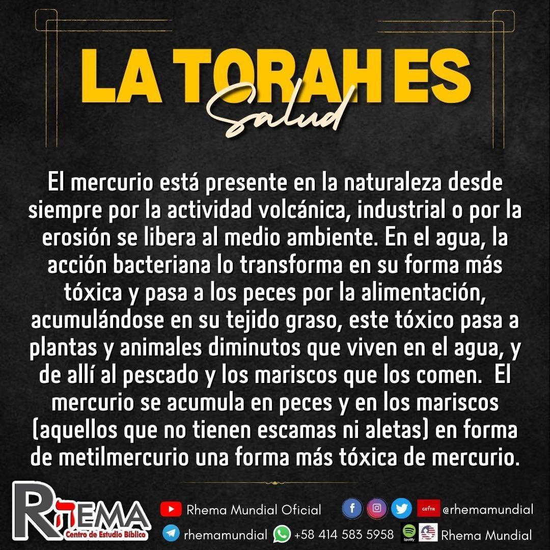 Rhema987fm's tweet photo. #SomosRhemaMundial
#Rhema
#Rhemanente
#Torah
#TorahPura
#RaicesHebreasDeNuestraFe
#TerceraYFinalReforma
#JuntosHastaElFinal
#EjadSomosUno
#BoanergesSomosTodos
#NosVemosEnLaAsamblea
#LaAvivaZiónDeBeneiShalem
#BeneiShalemSomosTodos https://t.co/vjs00tM8sh