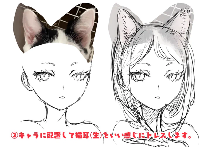 【新作動画】じゃあ猫の耳を借りれば本物のネコミミが描けるじゃんって話 #イラストメイキング #世界猫の日 #お絵かき講座 「絵の資料に耳貸してである」「いいよ」「ありがとである〜」ネコチャンの協力もあってめっちゃいいネコミミ完成である 