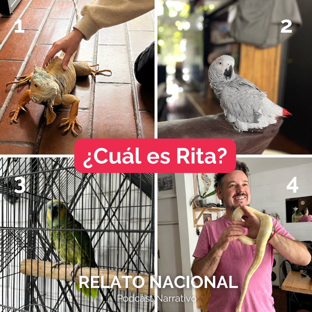🎧 ¿Quién es Rita? Si ya escuchaste el último capítulo de <a href="/RelatoNacional/">Relato Nacional - Podcast Narrativo</a> la respuesta es fácil.

🔴 Si aún no conoces la historia "El porqué Rita se enamoró de Rodrigo" te invitamos a buscar el capítulo 49 de <a href="/RelatoNacional/">Relato Nacional - Podcast Narrativo</a> en nuestra web o en tu app de audio fav [Links en Bio]