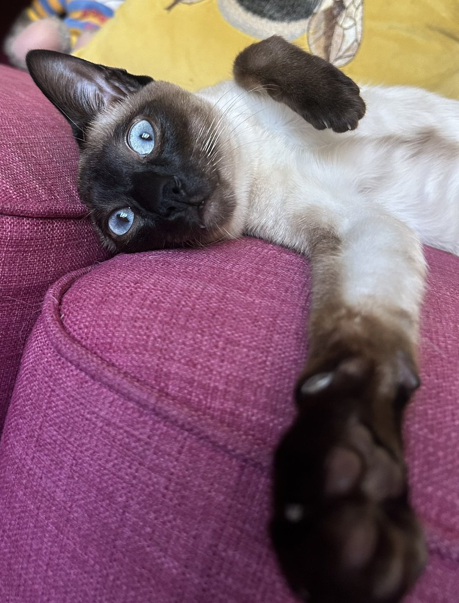 Mark Armstrong tweet media