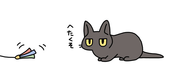 #世界猫の日  #WorldCatDay 