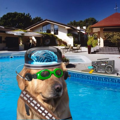 _Vergelius's tweet photo. Eyyoo
New pfp
Thanks to @doginthpool and the awesome pfp maker (find on website)
Cheers
#dog #inth #pool
Solana summer is 🔥🔥 https://t.co/ck2bJYNd4V