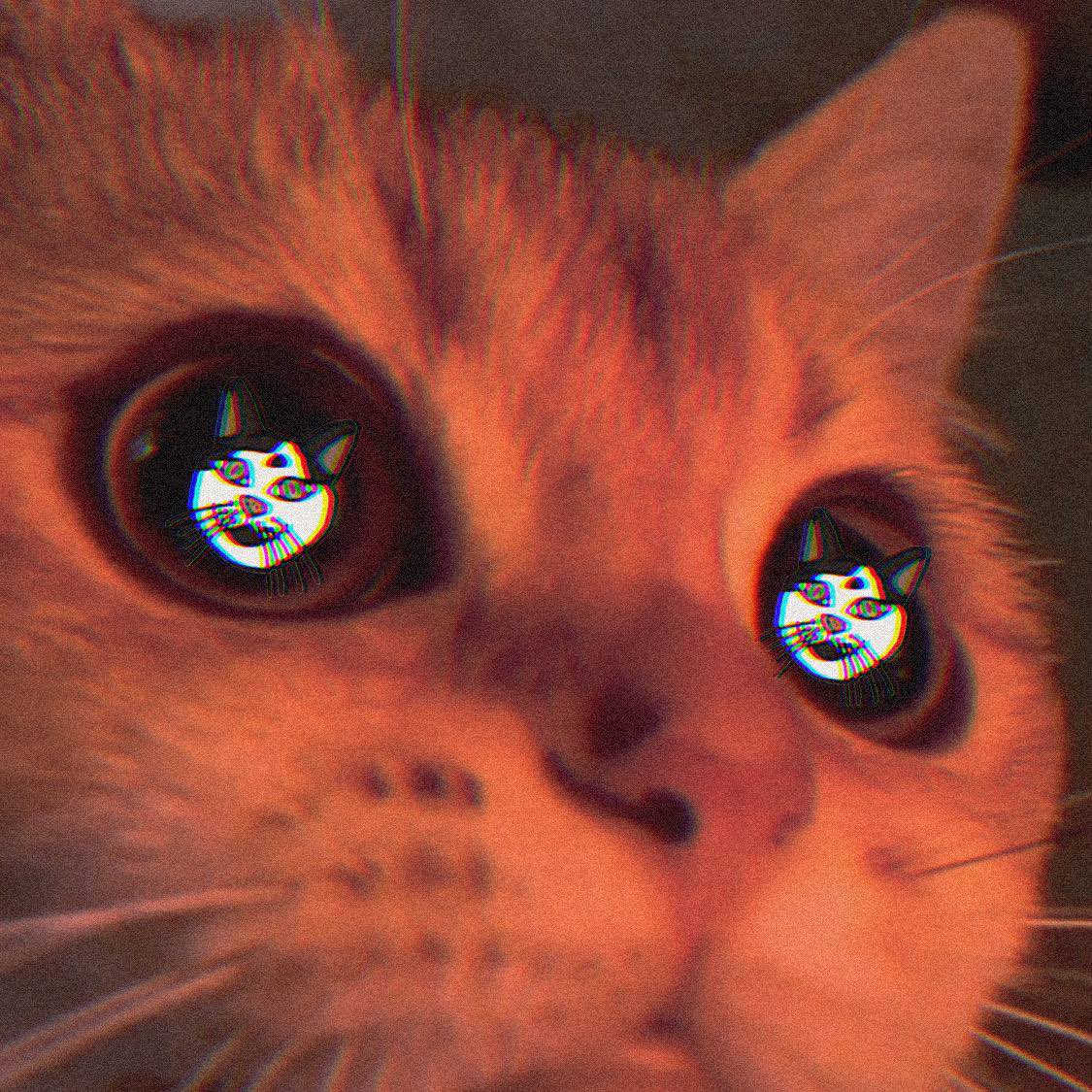 “Meow moo meow moo moo meowmoo meow moo moo meow!”

Translation- “In honor of international cat day we would like to thank all COWCATS and their beautiful contributions to this world!”