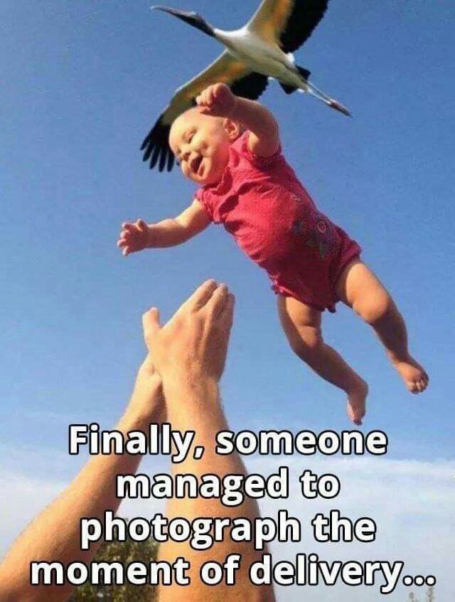 Kyngqush's tweet photo. Funny memes to keep your day going
A thread
#Memes #funny #Sacarsm #puns #๋ต๋๋ต๋_์น์ฒ ์ด_์์ผ์ด๋ค_๋ฌธ์ด์ด #viral #post #Laugh #lmao https://t.co/7SslaNsN63