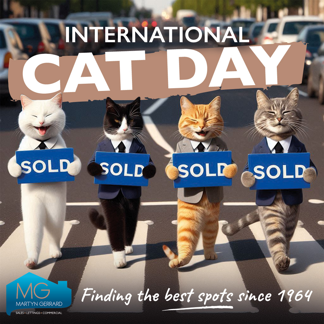 Happy International Cat Day.

Just like a cat finds the perfect cozy spot, we’ll help you find the purr-fect home! 🏡🐾 #PurrfectProperty #HomeSweetHome #MartynGerrard