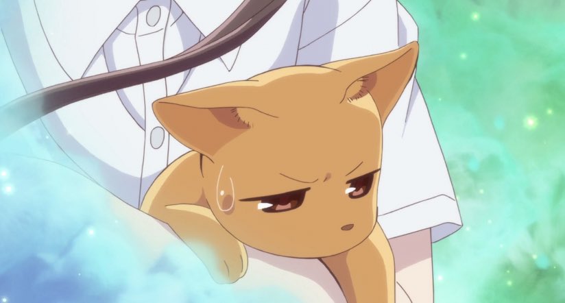 kyoruyeye's tweet photo. happy international cat day to the cat of all time, kyo sohma.. https://t.co/4s5OYEl9DO