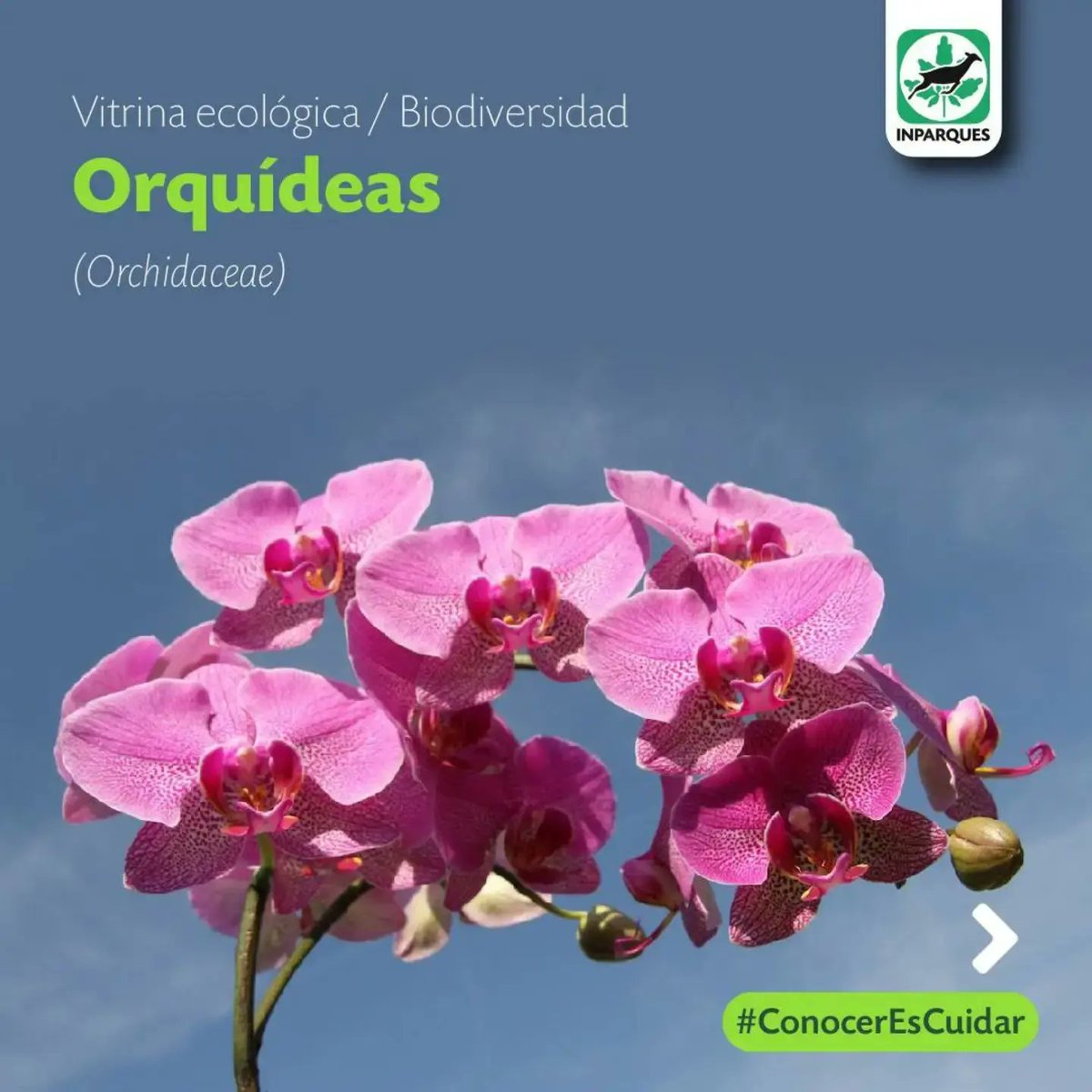 Inparques Bolívar tweet media