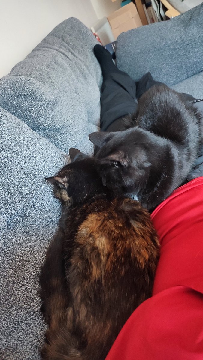 chilltrans's tweet photo. @Number10cat I'm recovering from injury and they are truly professional nurses https://t.co/myLefQDJTV