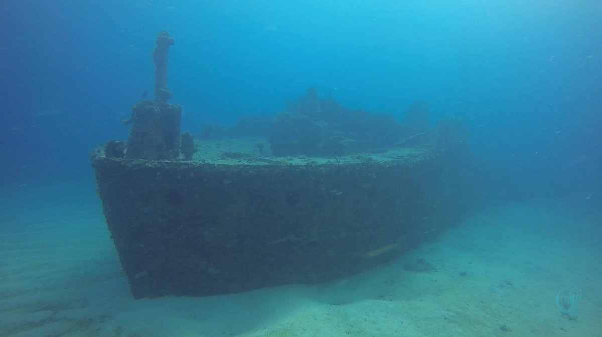 reef_research's tweet photo. NEW RESEARCH PAPER: Fish assemblages on shipwrecks versus natural reefs in Colombo, Sri Lanka
https://t.co/kjeNeL69iS
#coralreefs #reeffish #coralresearch #shipwrecks #fishassemblages #research #coralreefresearch #fishresearch #marineecology #marinebiology https://t.co/6RdpecxaYo