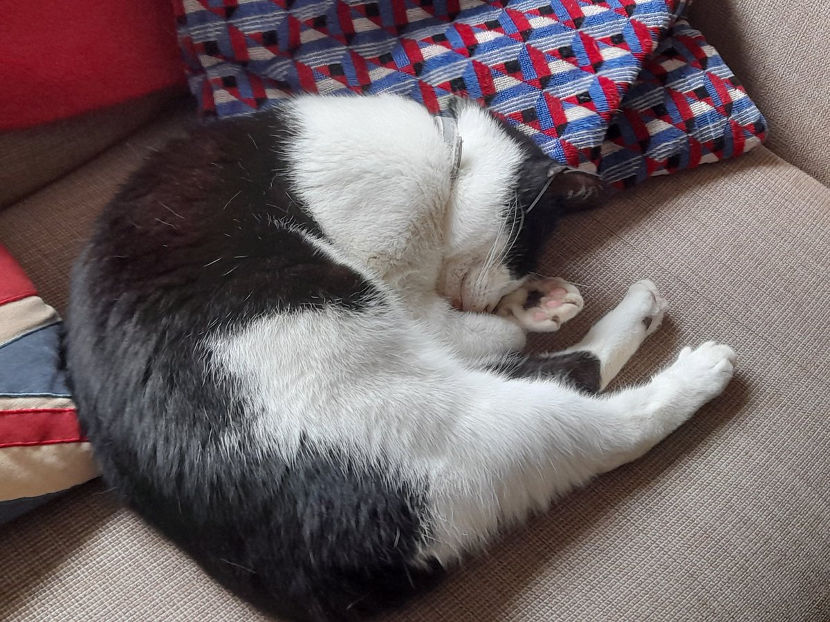 Matt Johnson tweet media