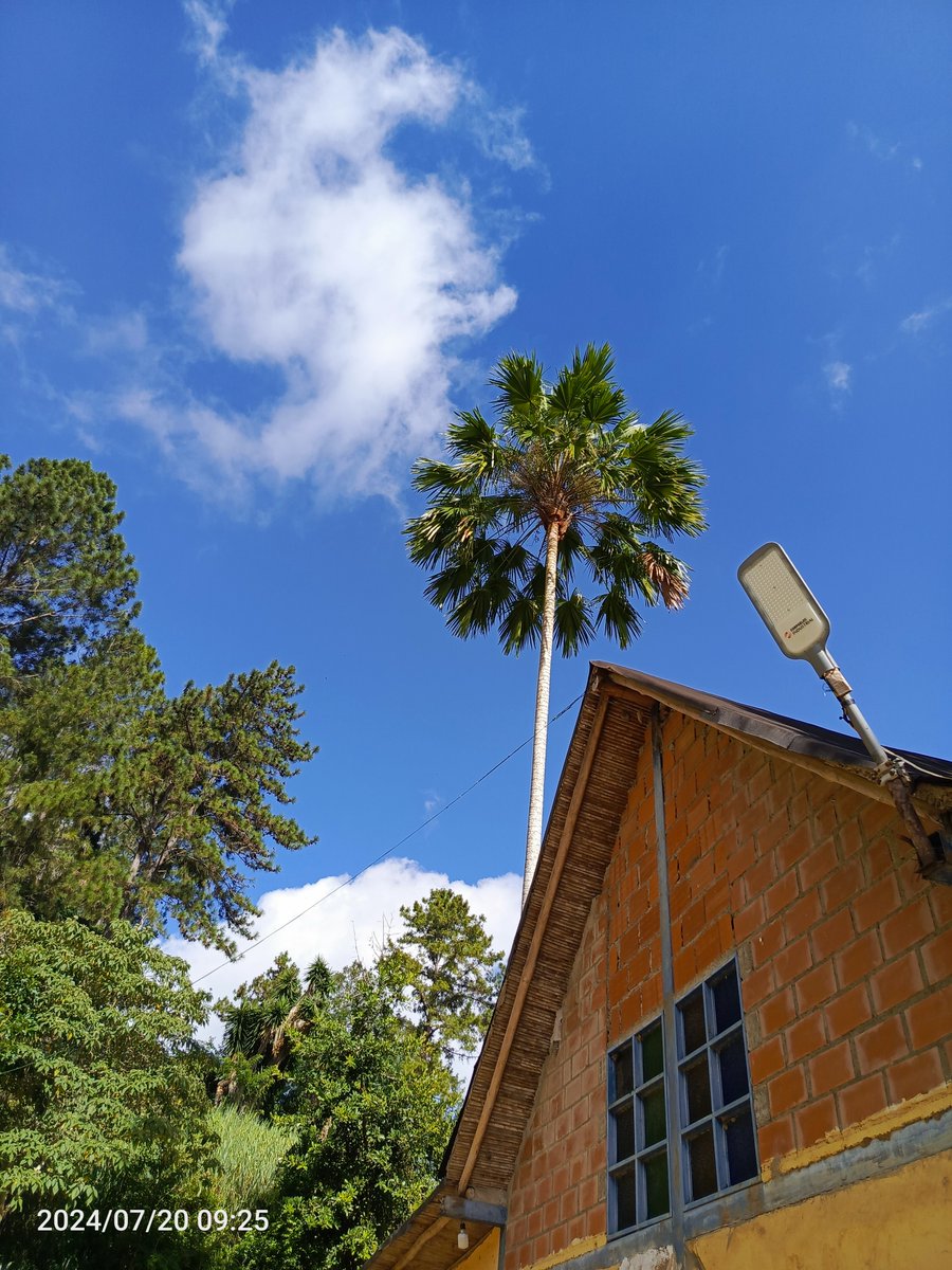 María Alejandra tweet media