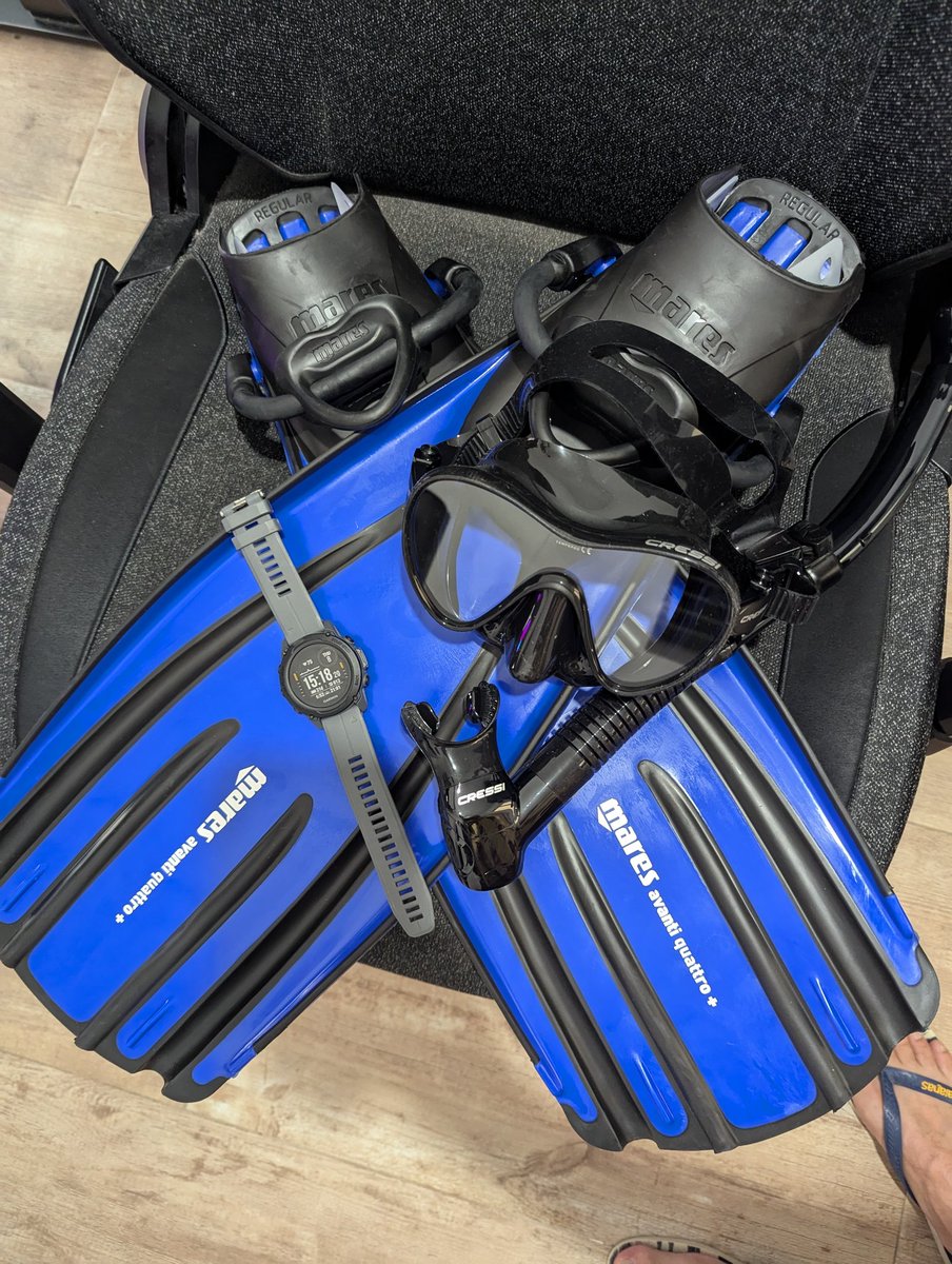 xuabi's tweet photo. Tô amando mergulhar.

Comprei a primeira parte do equipamento.

Máscara, snorkel, pé de pato aberto e computador de mergulho (relógio específico pra isso), lanterna.

Eventualmente vou pegar: veste de neopreno, botas, reguladores, jaqueta de mergulho.

Cilindro e pesos: alugar. https://t.co/iRZFVhb2QX