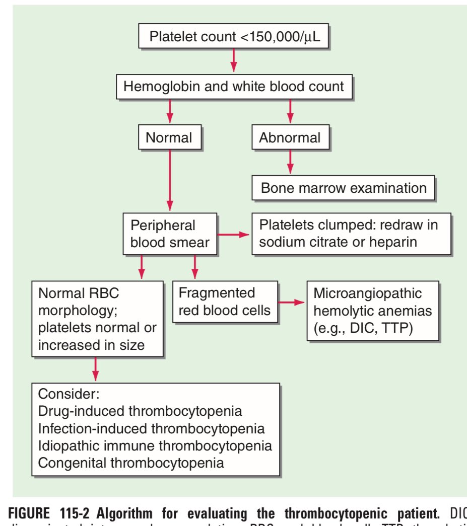 JasmineNephro's tweet photo. 🩸 Approach to thrombocytopenia 

#Medtwitter https://t.co/hq0KsrLAaD