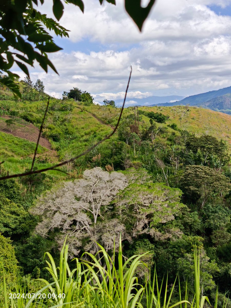 Infocentro Manuelita Saenz YARACUY tweet media